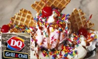 Dairy Queen Rival Bankruptcy: What Happened and Who's to Blame