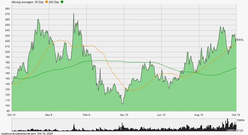 Solana's Price: Why the Current Volatility is a Glimpse Into a Much Bigger Future