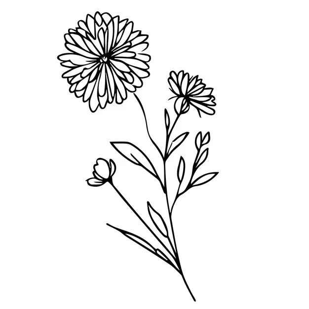 Aster's Buybacks: What's Behind the $3M?